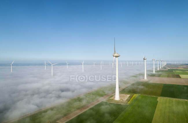 Офшорні вітрові турбіни, що стоять у тумані на річці Айсселмер. — стокове фото