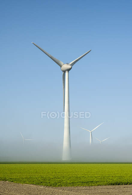 Offshore wind turbines standing in fog on the IJsselmeer inland — Stock Photo