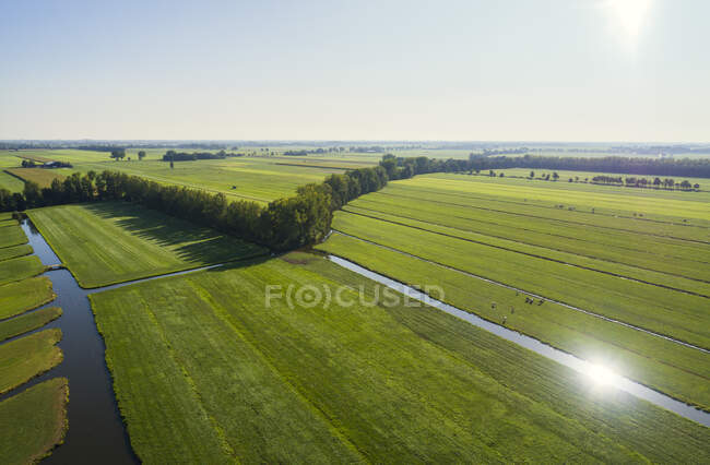 A típica paisagem polder holandesa no final do verão, Langera — Fotografia de Stock