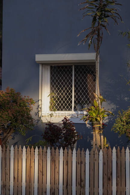 Pflanzen vor dem Haus in der Nachbarschaft, Melbourne, Australien — Stockfoto