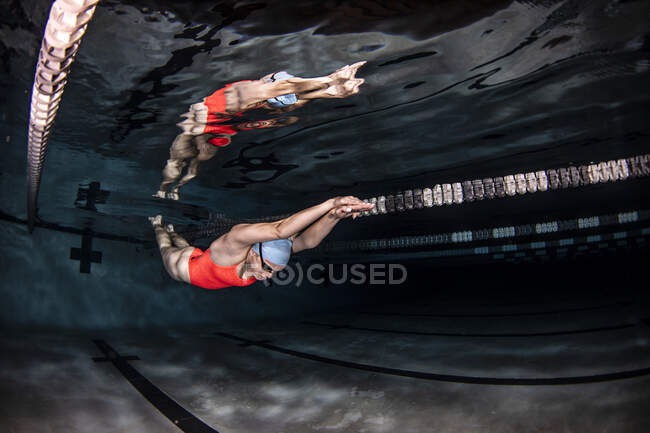 Элитный пловец колледжа в бассейне — стоковое фото