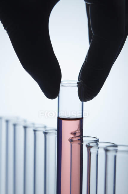 Mão de luvas de nitrilo pegando um tubo de teste com solução vermelha para fora — Fotografia de Stock