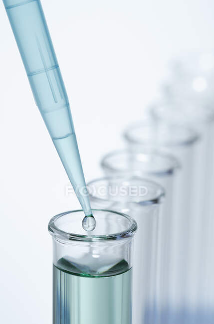 Pipetting. A precision micropipette is used to transfer a small — Stock Photo