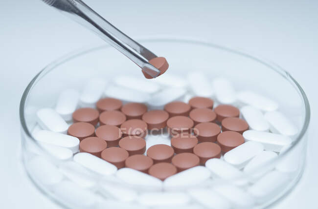 Brucelles tenant une pilule sur une boîte de Pétri avec des pilules génériques — Photo de stock