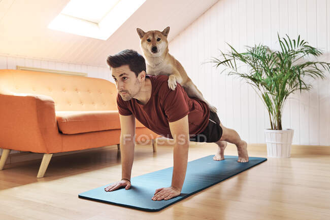 Man exercising with pet dog on his back — Stock Photo