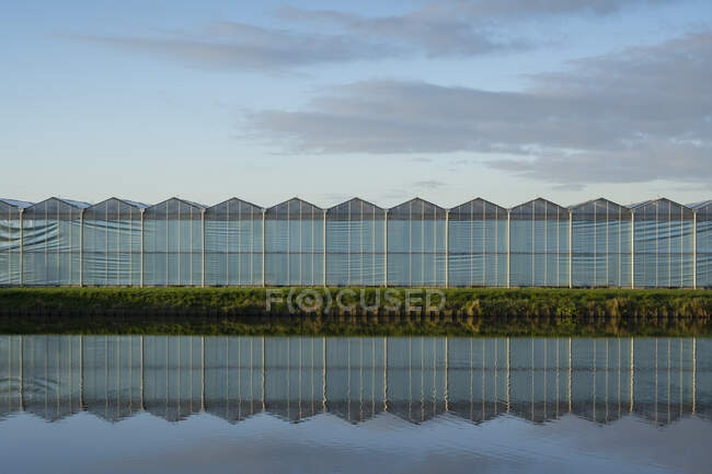 Gewächshäuser in den Niederlanden im Morgengrauen — Stockfoto