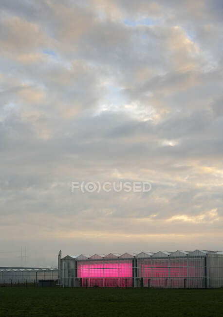 Gewächshaus mit experimenteller LED-Beleuchtung, frühmorgens — Stockfoto