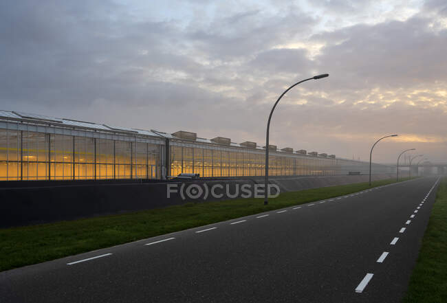Estufas nos Países Baixos, de manhã cedo — Fotografia de Stock