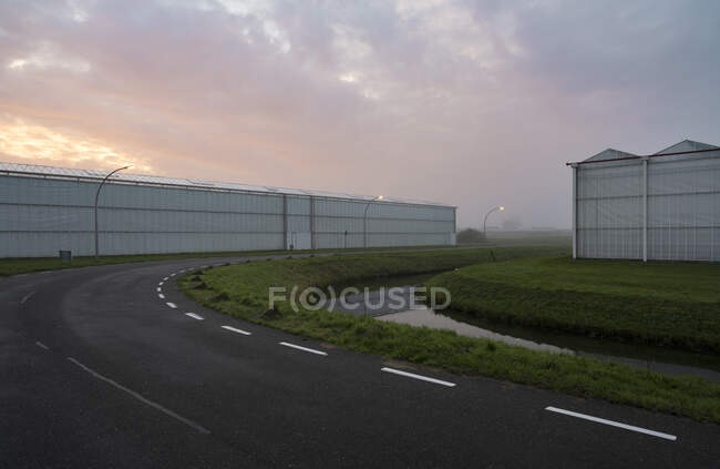 Gewächshäuser in den Niederlanden, frühmorgens — Stockfoto
