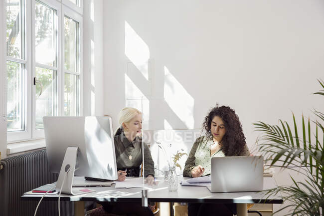 Women working together in office with protective screen partitio — Stock Photo