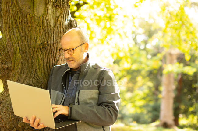Hombre trabajando en el ordenador portátil en el parque - foto de stock