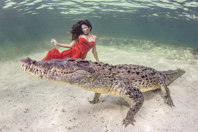 Mulher de vestido vermelho, subaquática com crocodilo, Chinchorro Banks, — Fotografia de Stock