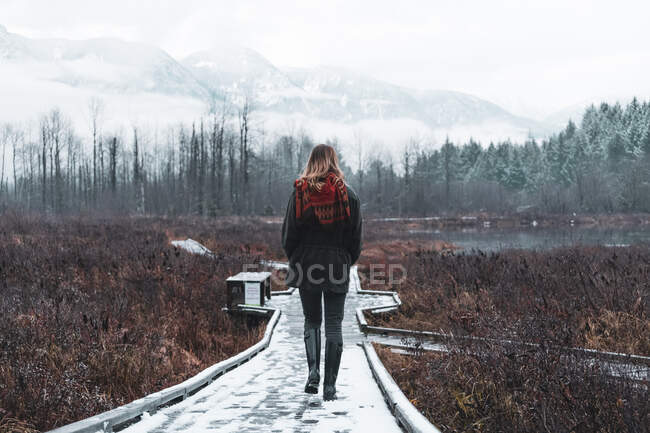 Visão traseira da mulher na passarela Lillooet Lake, British Columbia, C — Fotografia de Stock
