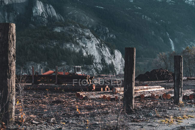 Canada, British Columbia, Squamish, Lumberyard at foot of mountain — Stock Photo