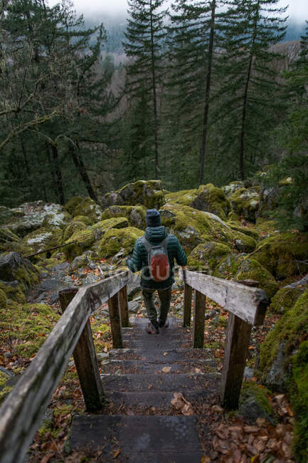 Canadá, Colúmbia Britânica, Squamish, Homem caminhando ao longo da trilha — Fotografia de Stock