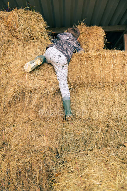 UK, Hampshire, New Forest Farm, Rear view of boy climbing haystack — Stock Photo