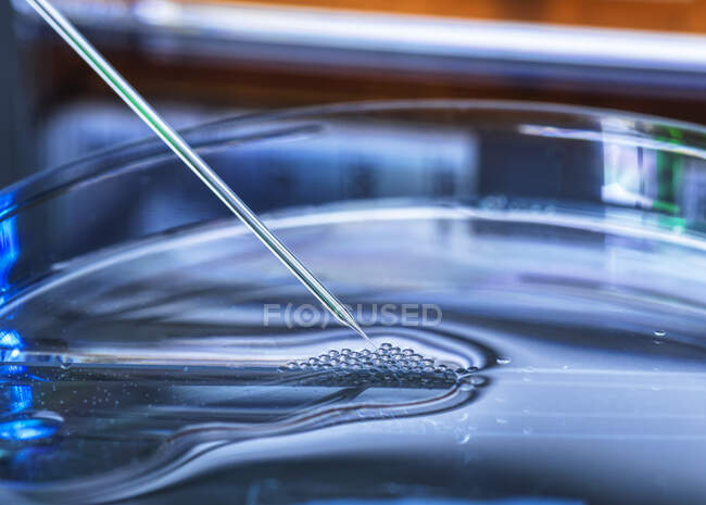 UK, Buckinghamshire, High Wycombe, Close-up of petri dish and pipette — Stock Photo
