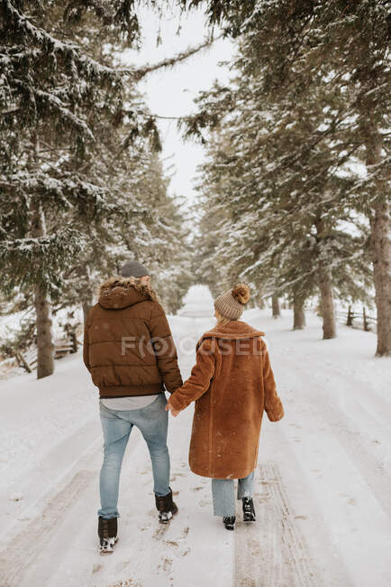 Канада, Онтаріо, Пара тримається за руки під час зимових прогулянок. — стокове фото