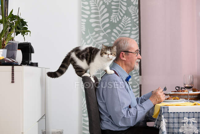 Portugal, Kitten climbing arm of man sitting at table — Stock Photo