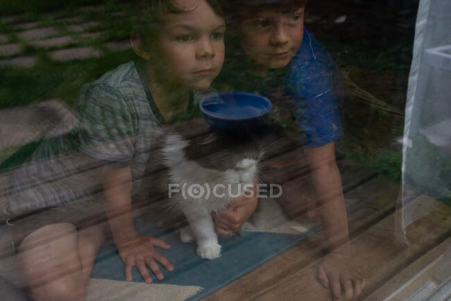 Канада, Онтаріо, Брати обіймають кота і дивляться у вікно — стокове фото