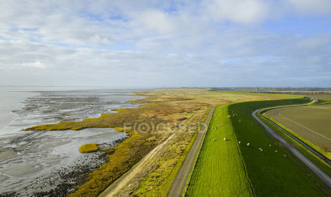 Niederlande, Zeeland, Rilland, Luftaufnahme von Weiden an der Küste — Stockfoto