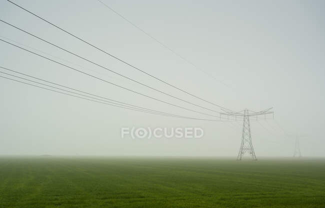 Netherlands, Noord-Brabant, Oosterhout, Electricity pylons in field on foggy day — Stock Photo