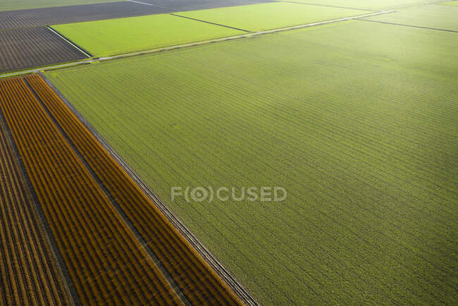 Países Bajos, Noord-Brabant, Oud Gastel, Vista aérea de los campos agrícolas - foto de stock
