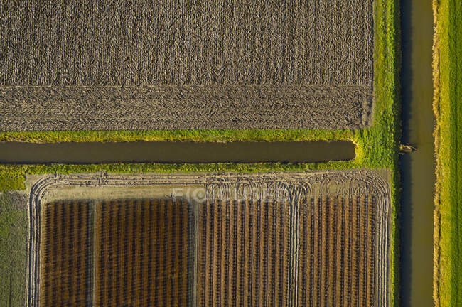 Niederlande, Noord-Brabant, Oud Gastel, Luftaufnahme landwirtschaftlicher Felder — Stockfoto