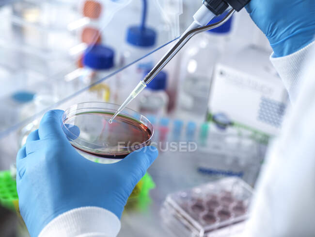 UK, Buckinghamshire, High Wycombe, Scientist holding petri dish and pipette — Stock Photo