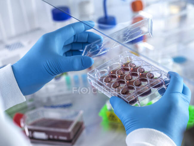 UK, Buckinghamshire, High Wycombe, Scientist holding multiwell plate — Stock Photo
