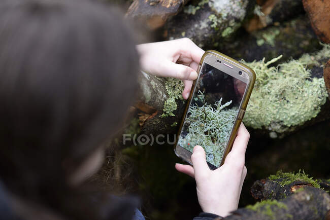 Chica usando el teléfono para tomar fotos de la naturaleza - foto de stock