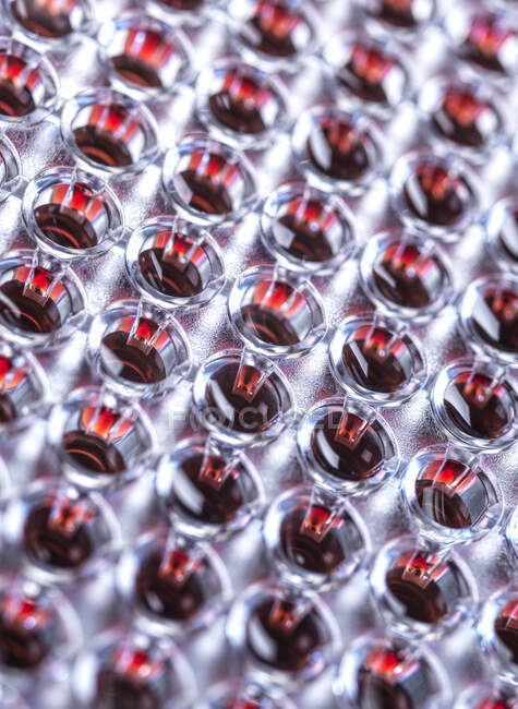 Close-up of blood samples — Stock Photo
