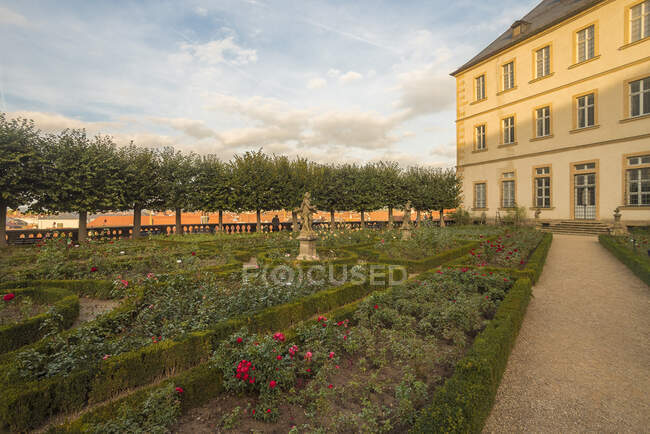 Germania, Baviera, Bamberga, Giardino di rose nel palazzo della Nuova Residenza — Foto stock