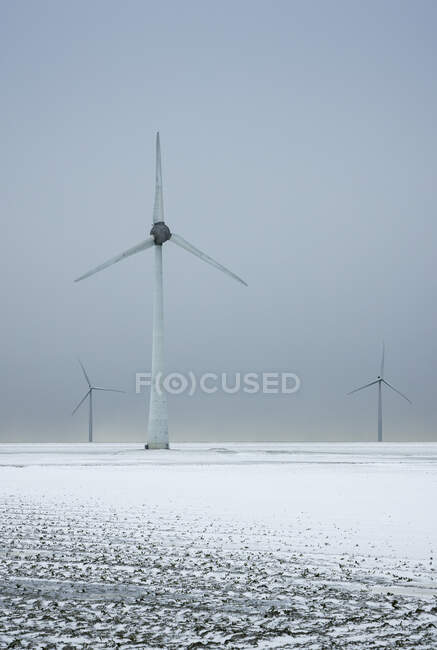 Paesi Bassi, Frisia, Rutten, turbine eoliche in campo innevato — Foto stock