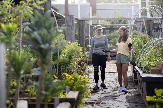 Australia, Melbourne, Dos mujeres hablando en el jardín comunitario - foto de stock