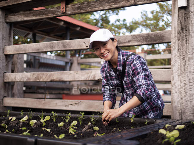 Austrália, Melbourne, Mulher sorridente plantando mudas no jardim comunitário — Fotografia de Stock
