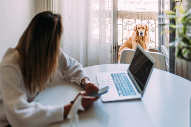 Italie, Jeune femme avec chien à la maison — Photo de stock
