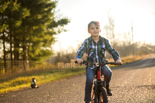 Канада, Онтаріо Хлопчик їздить на велосипеді по сільській дорозі на заході сонця — стокове фото