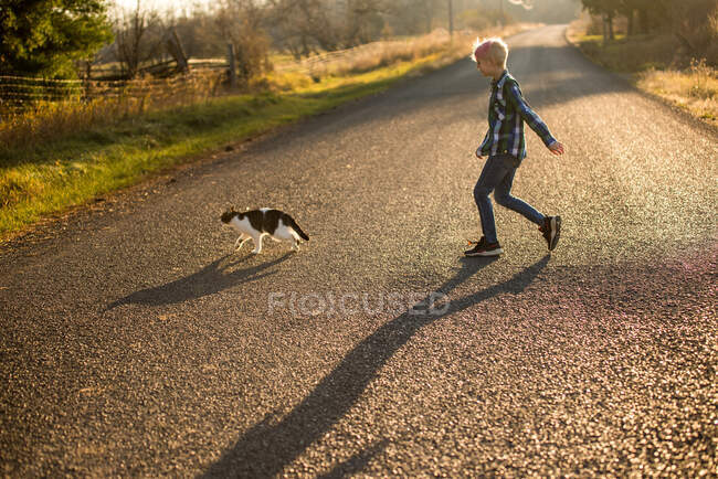 Canadá, Ontário, Menino seguindo gato na estrada rural ao pôr do sol — Fotografia de Stock