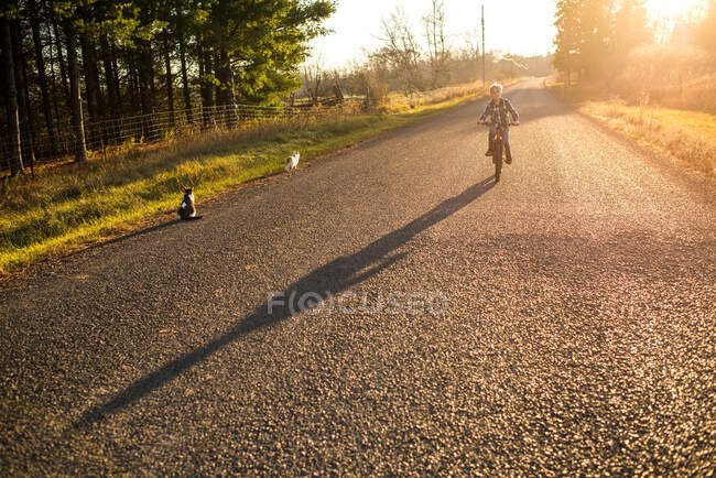 Canada, Ontario, Boy riding bike on rural road at sunset — Stock Photo