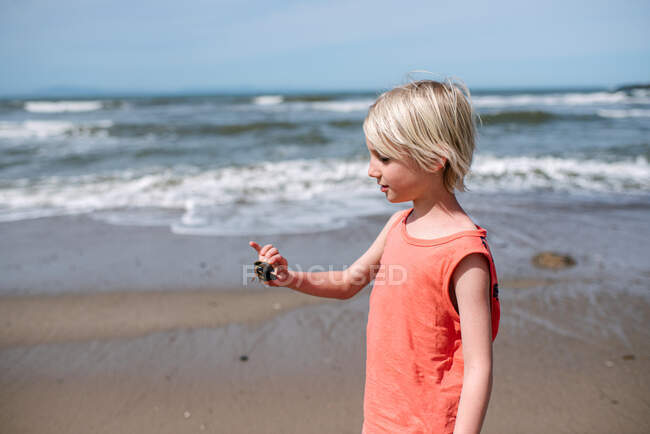 USA, California, Ventura, Boy holding small crab on beach — Stock Photo