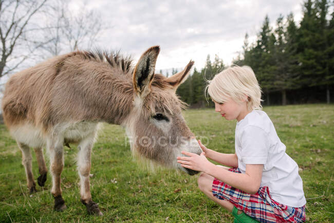 Canada, Ontario, Kingston, Boy with donkey in field — Stock Photo