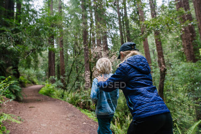 США, Калифорния, Сан-Франциско, брат и сестра на пешеходной дорожке в лесу — стоковое фото