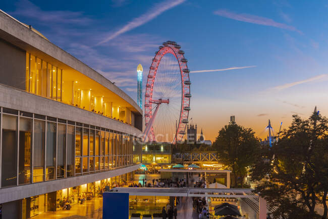 Reino Unido, Londres, Illuminated Royal Festival Hall y London Eye al atardecer - foto de stock