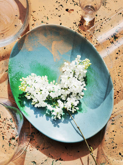 Overhead view of white lilac bouquet on stone painted plate — Stock Photo