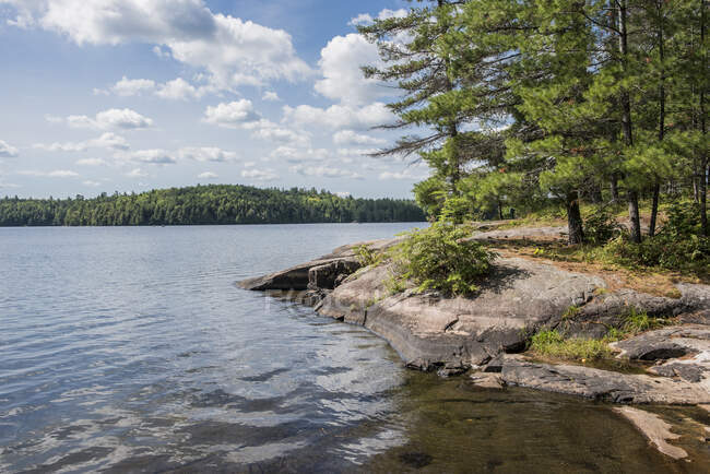 Canada, Ontario, Lac et forêt — Photo de stock