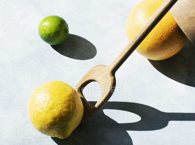 Plan studio de citron, pamplemousse et citron vert — Photo de stock