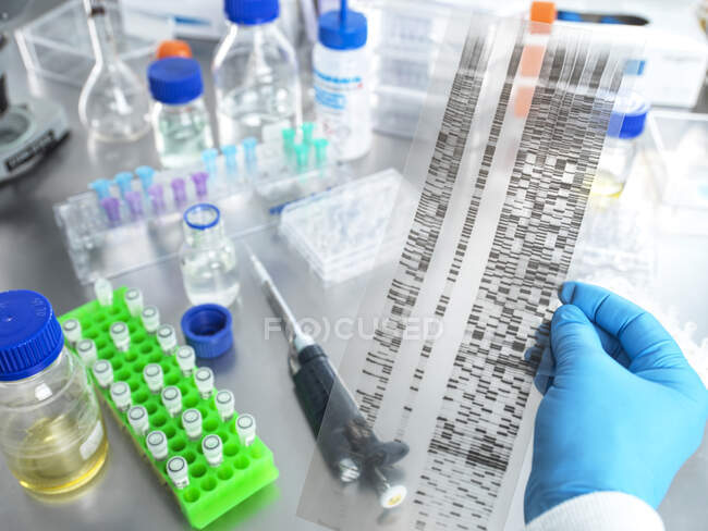 Scientist holding DNA gel sample in laboratory — Stock Photo