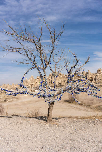 Turquía, Capadocia, Goreme, Árbol de los deseos en el paisaje estéril - foto de stock