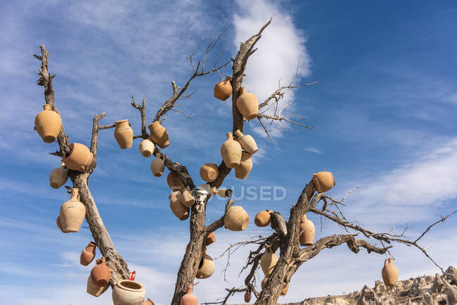 Turkey, Cappadocia, Goreme, Wish tree against sky — Stock Photo